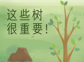 這些樹很重要！