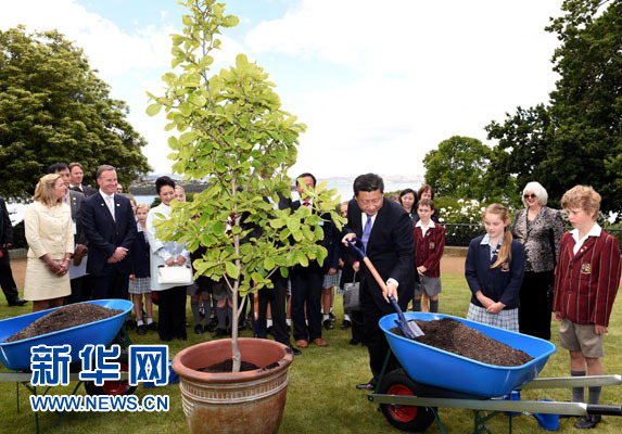 11月18日，國家主席習(xí)近平在澳大利亞塔斯馬尼亞州與朗塞斯頓市斯科奇－歐克伯恩小學(xué)的小學(xué)生共同植樹。新華社記者 饒愛民 攝