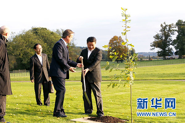 兩國(guó)領(lǐng)導(dǎo)人一同在別墅草坪，共同種下象征中英友誼的橡樹(shù)。新華社記者 鞠鵬 攝